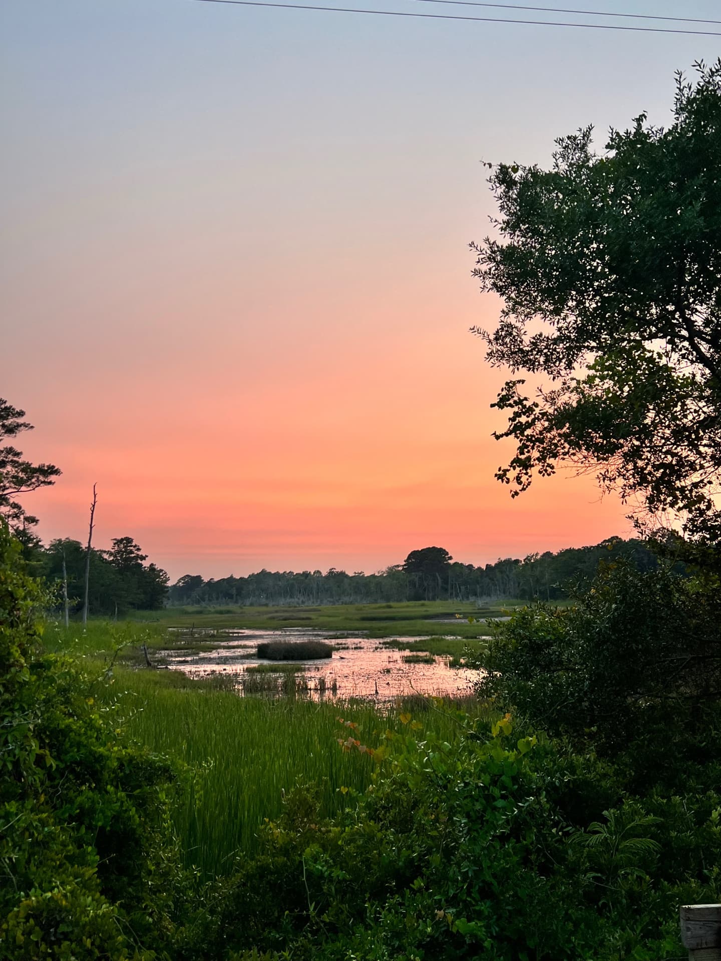 Stunning NC sunset over marshland